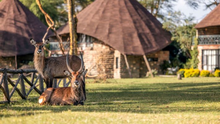 Waterbucks&Rooms_16x9